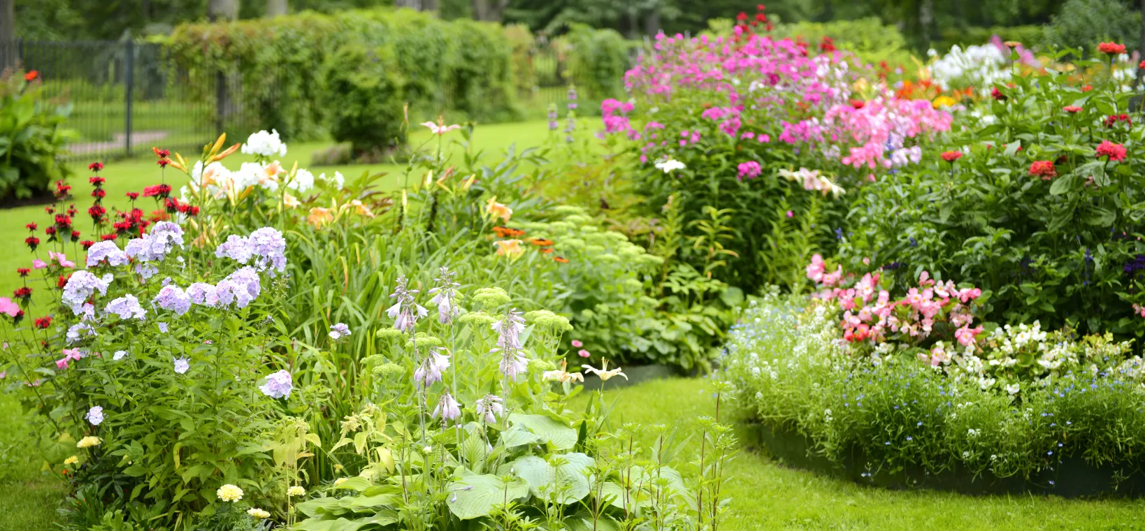 Ontwerp een onderhoudsvriendelijke en biodiverse border